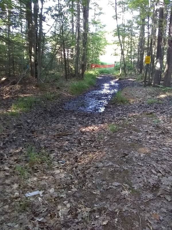 Northwestern Trailhead For Ramada Inn Trail - Image 1