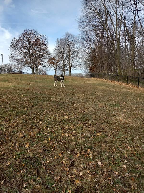 Eureka Dog Park - Image 1