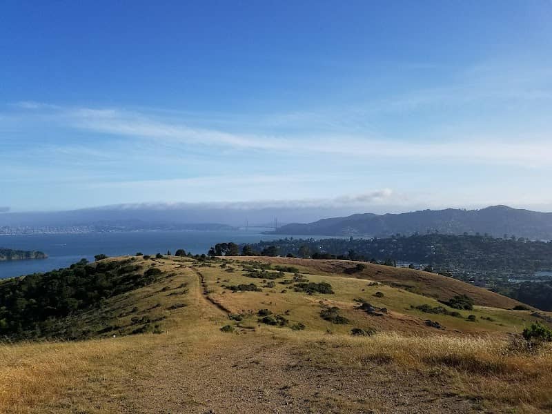 Old St. Hilary's Preserve - Image 2