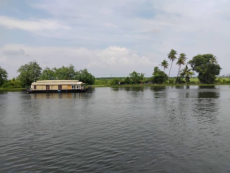 Paddy Field View | Kainakary South - Image 2