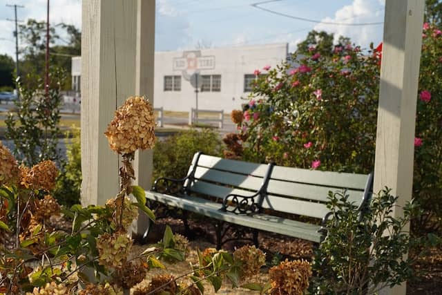 Sitting Garden - Image 1