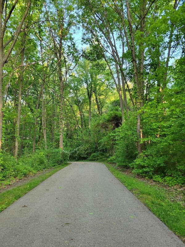 Swanson Park - Image 1