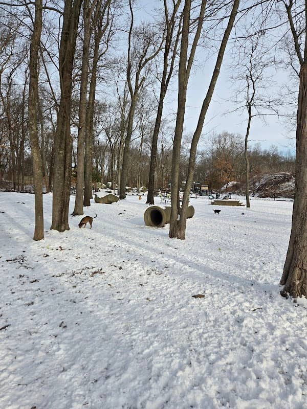Randolph Dog Park - Image 1