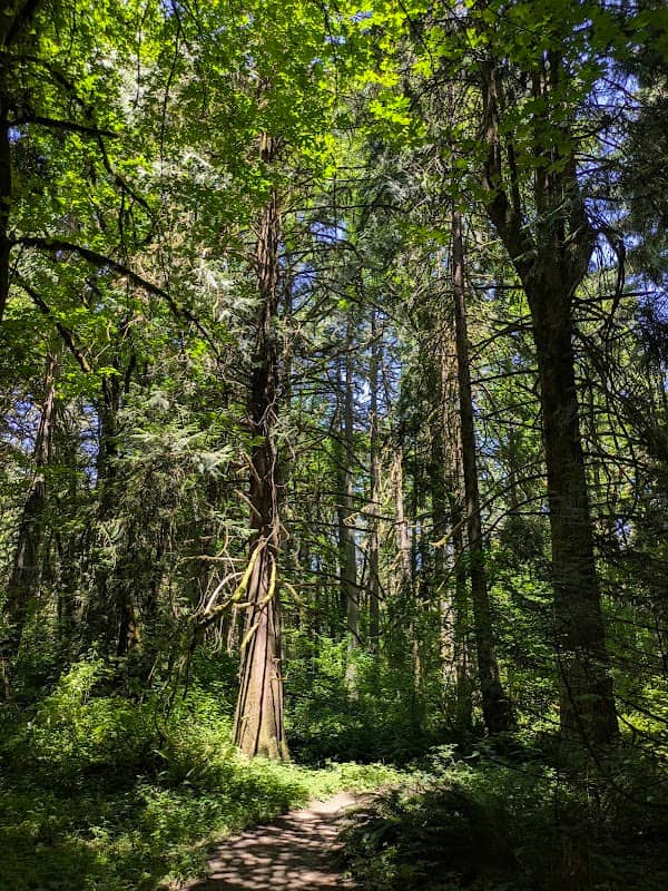 Tualatin Hills Nature Center - Image 2
