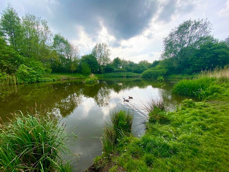 Walton Park - Image 2