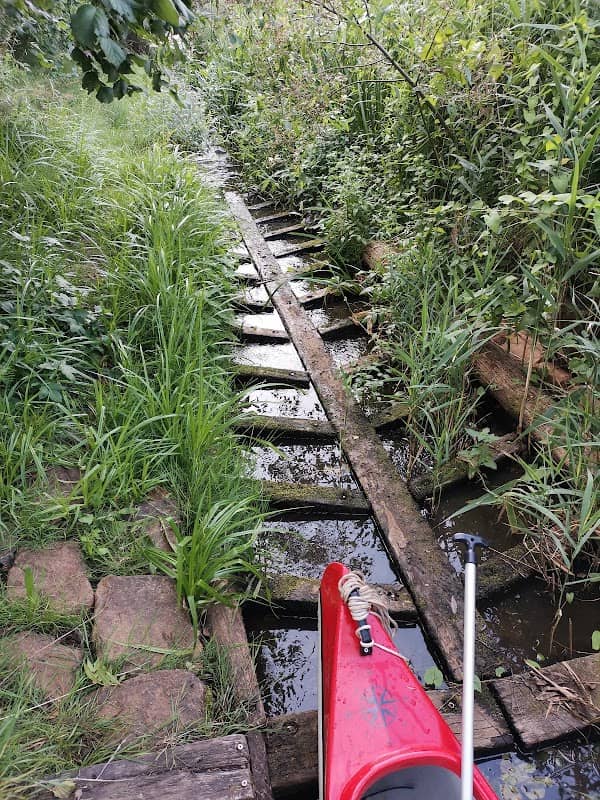 Fischtreppe bei Maasdorf - Image 1