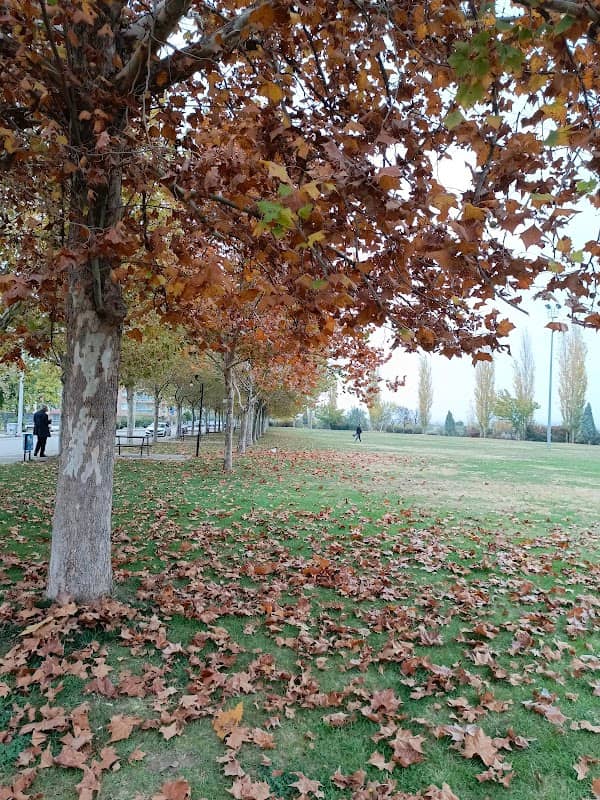 Gümüş park - Image 1
