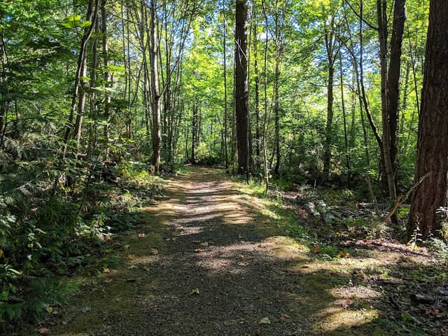 Renton Park - Image 2