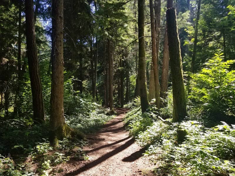 Renton Park - Image 1