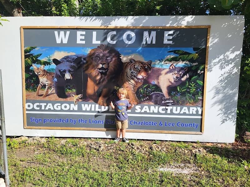 Octagon Wildlife Sanctuary - Image 1