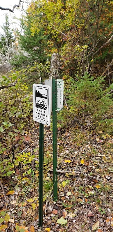 Thorp Pond State Natural Area - Image 1