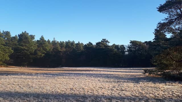 Dunes at Neumühlen - Image 2