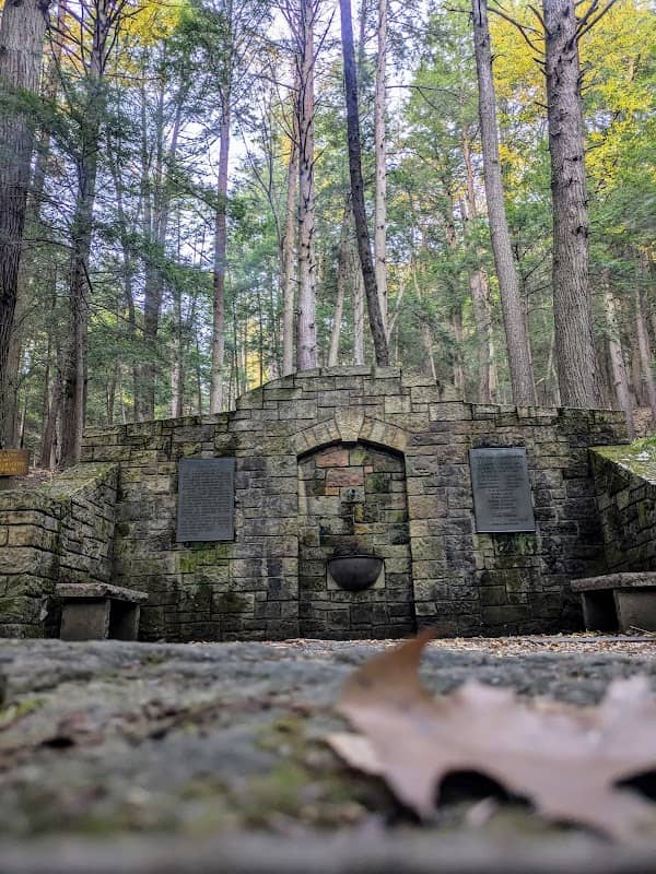 Memorial Fountain at Cook Forest State Park - Image 1