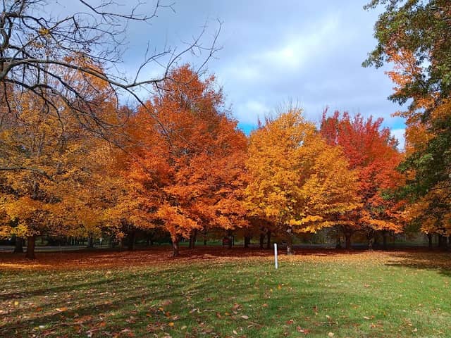 Kickapoo Creek Park - Image 1