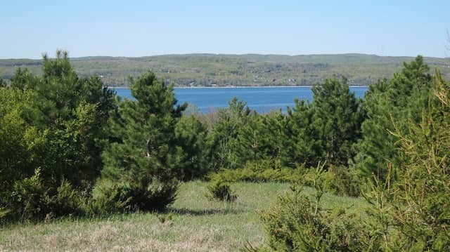 The Hill Nature Preserve - Image 2