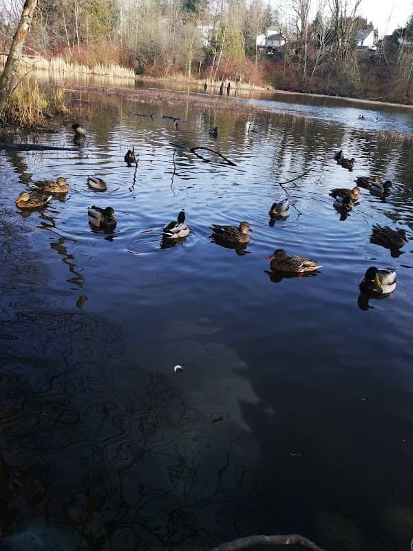 Fishtrap Creek Park - Image 2