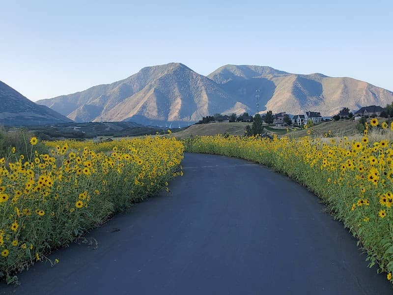 Mapleton Walking Path - Image 1
