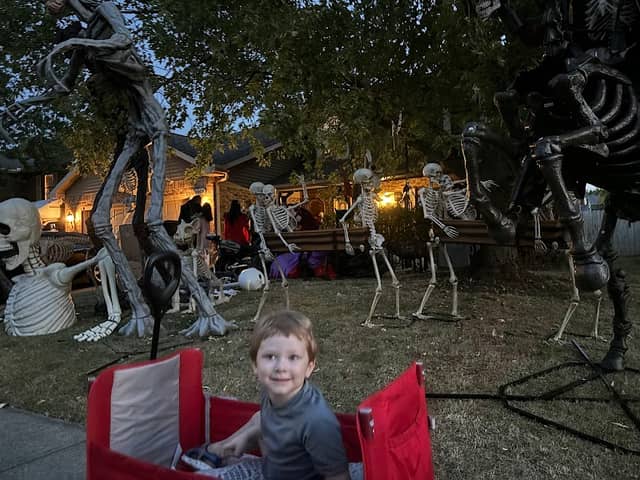 Emeraldgate Skeletons - Image 1