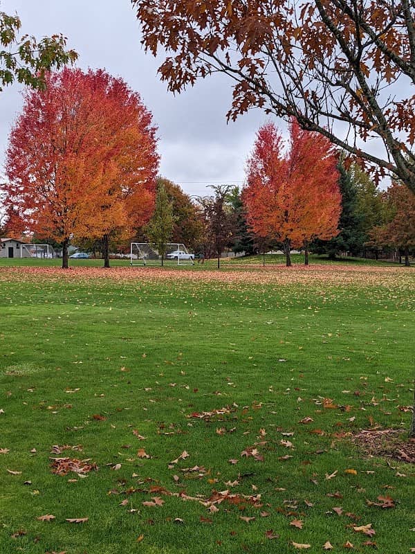 Redwood Park - Image 1