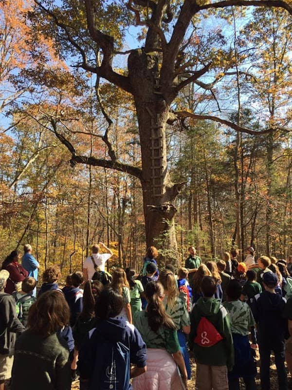 Allison Woods Outdoor Learning Center - Image 1