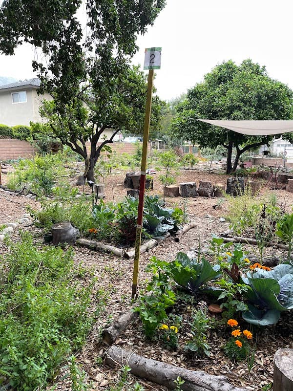 One Earth Community Garden - Image 3
