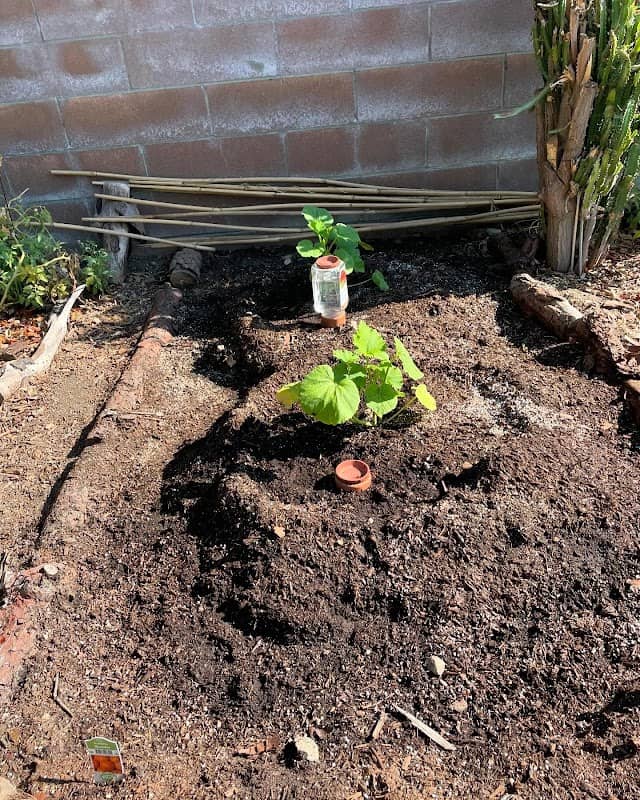 One Earth Community Garden - Image 2