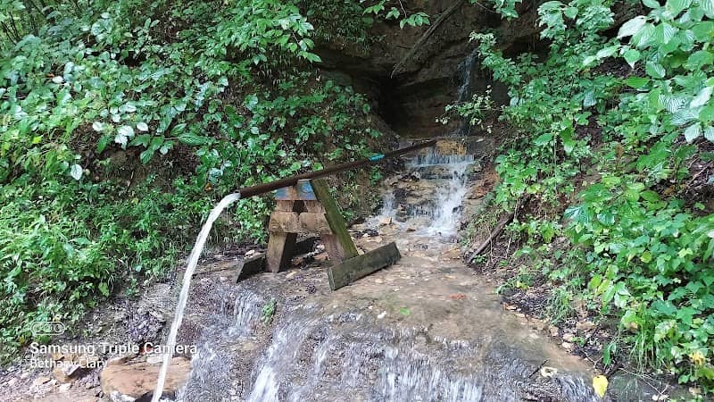 Local Spring - Image 1