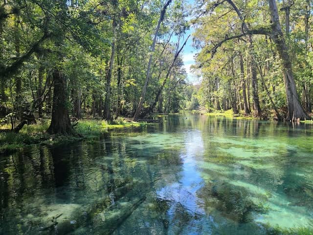 Ichetucknee Park South Entrance - Image 2
