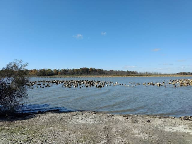 Little Portage River Wildlife Area - Image 1
