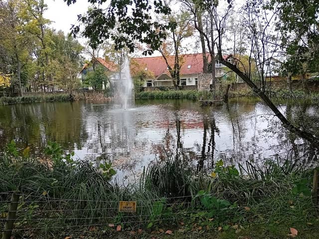 Staw Koronny - Image 1