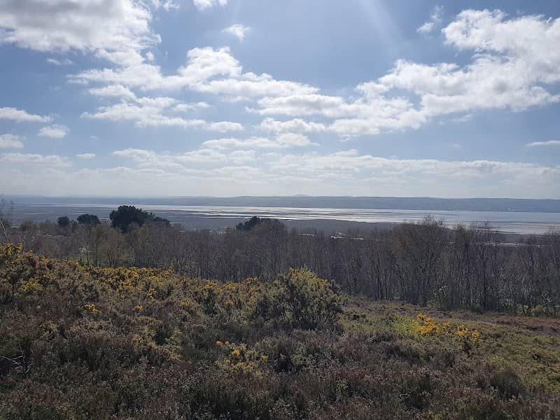 Cleaver Heath Nature Reserve - Image 2