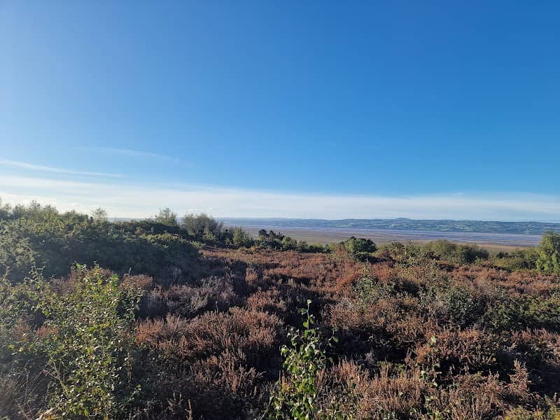Cleaver Heath Nature Reserve - Image 1