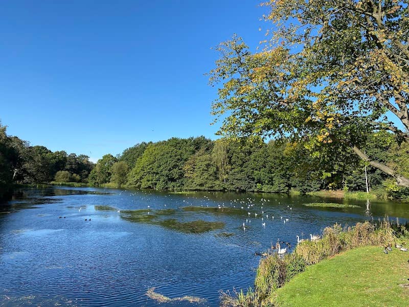 Lower Lake - Image 2