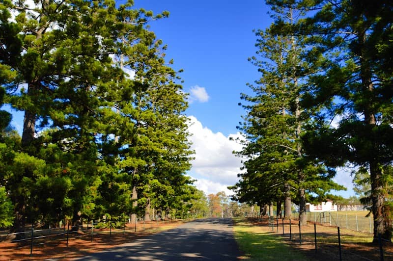 Walder Park - Image 1