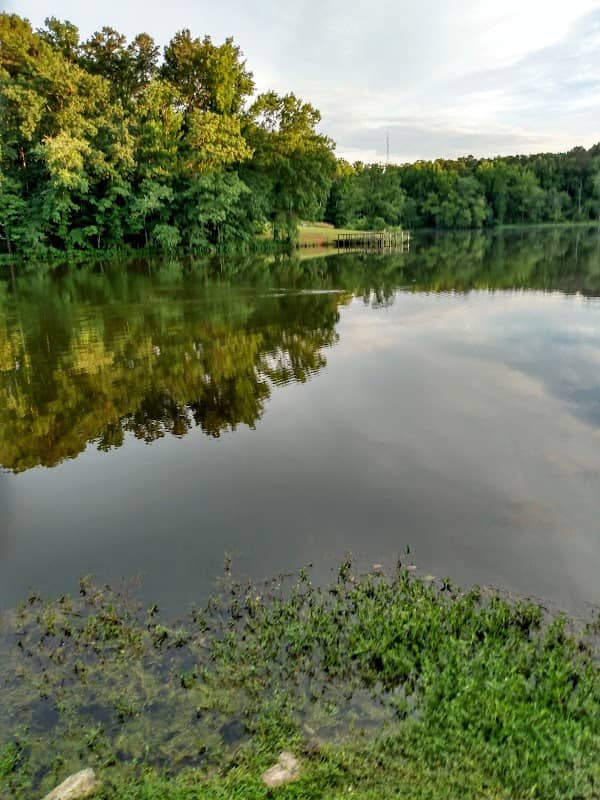 City Lake Park - Image 2