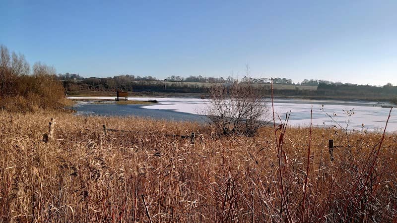 Tice's Meadow Nature Reserve - Image 1