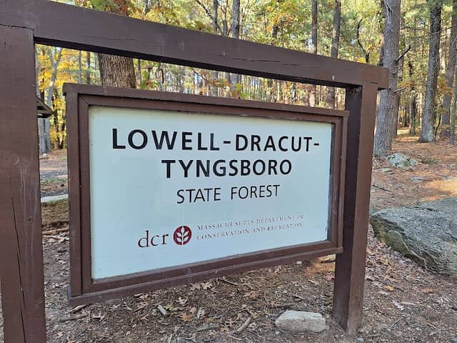Lowell-Dracut-Tyngsborough State Forest - Image 1