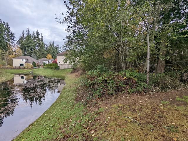 Chatham Park Pond - Image 1