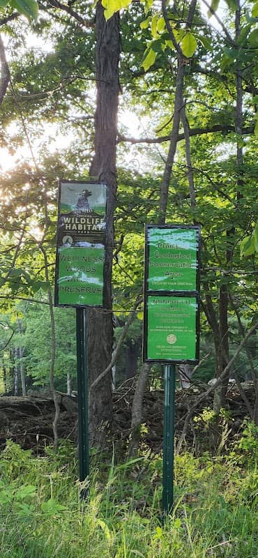 Wellness Woods - Image 2