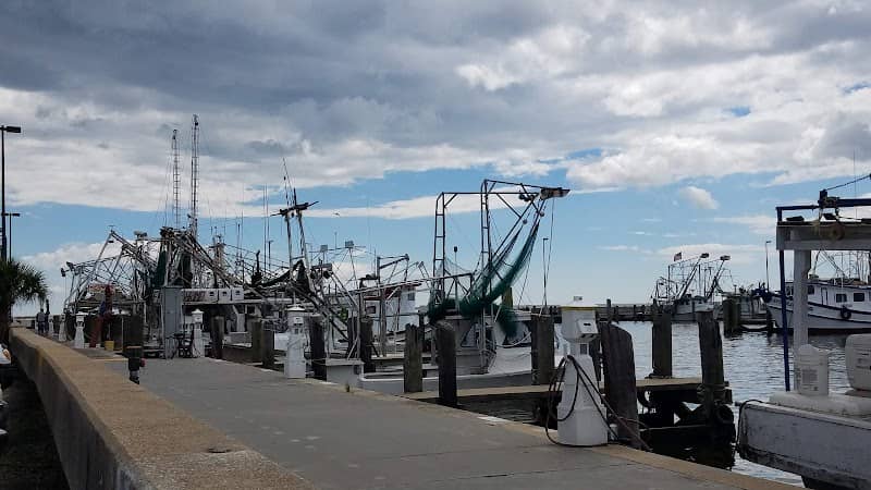 Biloxi Shrimping Trip - Image 1
