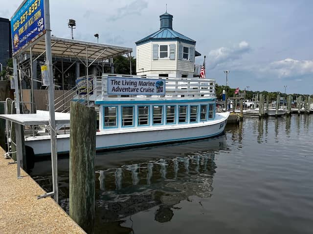 Biloxi Shrimping Trip - Image 2