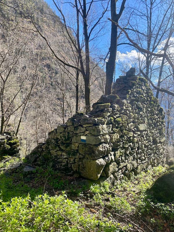Al Monte - Image 1