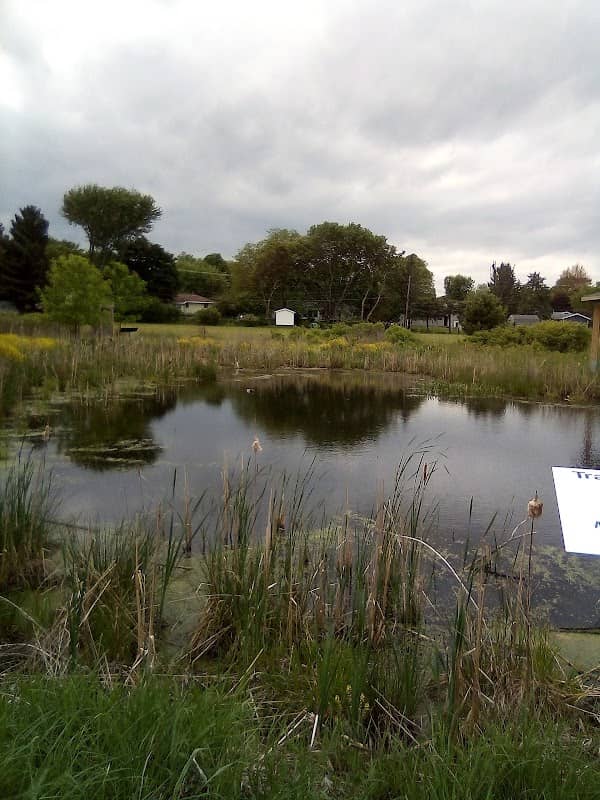Marshfield Outdoor Learning Sanctuary - Image 1