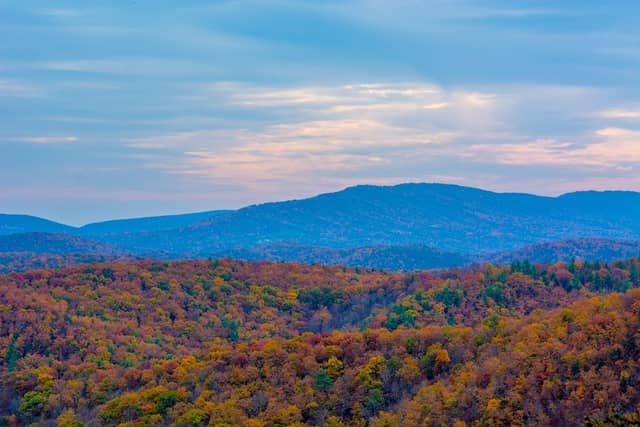 Green Ridge State Forest - Image 1