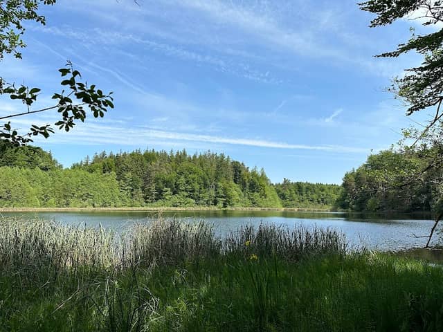 Eggstätt-Hemhofer Seenplatte - Image 1