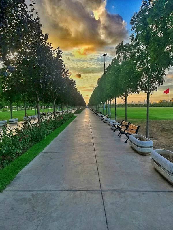 Beach Park - Image 1