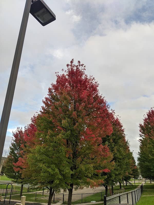 Brand Park - Image 1