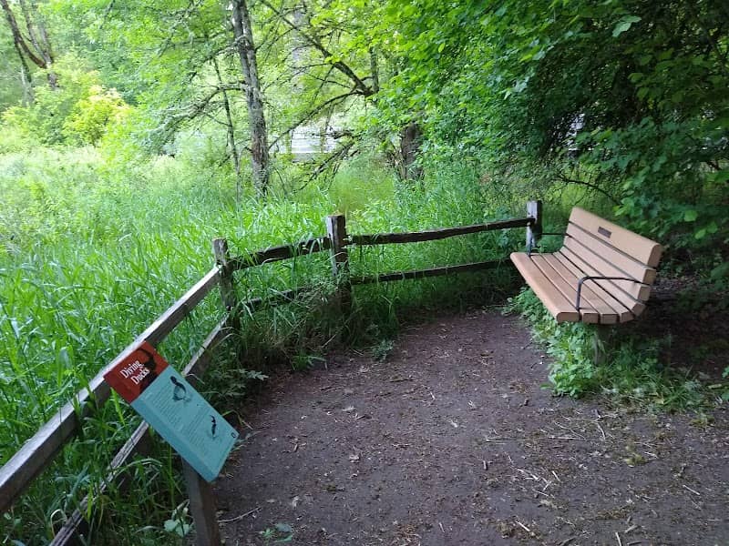 Big Pond Viewpoint - Image 1
