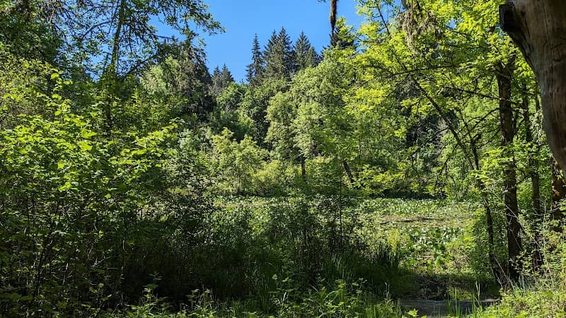 Big Pond Viewpoint - Image 2
