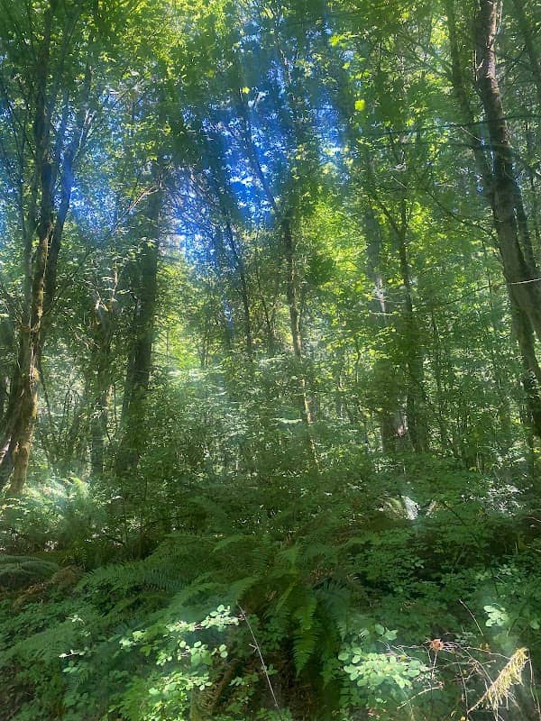 Big Pond Viewpoint - Image 3